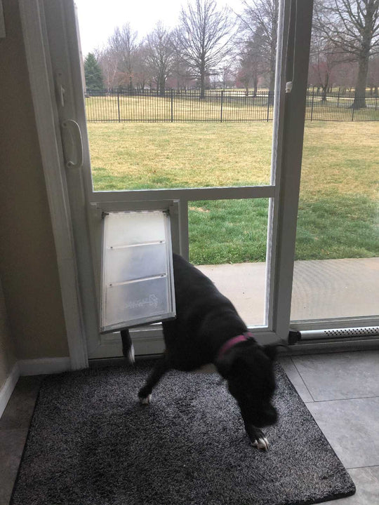 Pet Door Guys In The Glass Pet Door